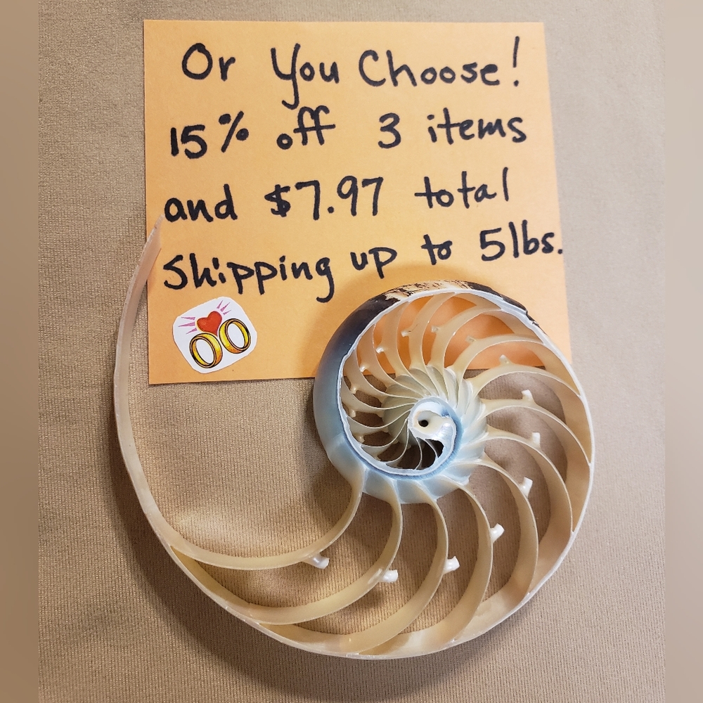 Bundle Idea: Croft & Barrow, Basic Editions, Liz … - image 7